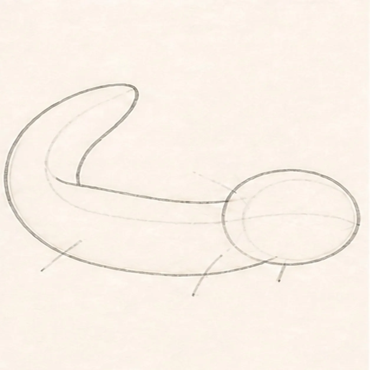 Wrap the head body and tail stage for how to draw a swimming axolotl