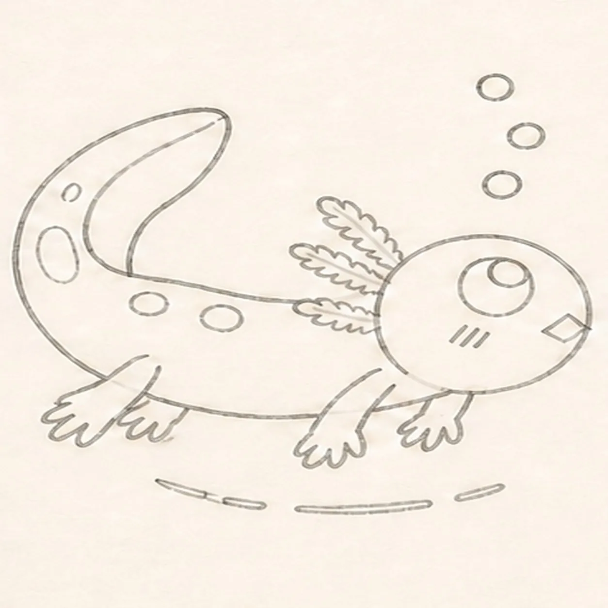 Add the spots bubbles and highlights stage for how to draw a swimming axolotl