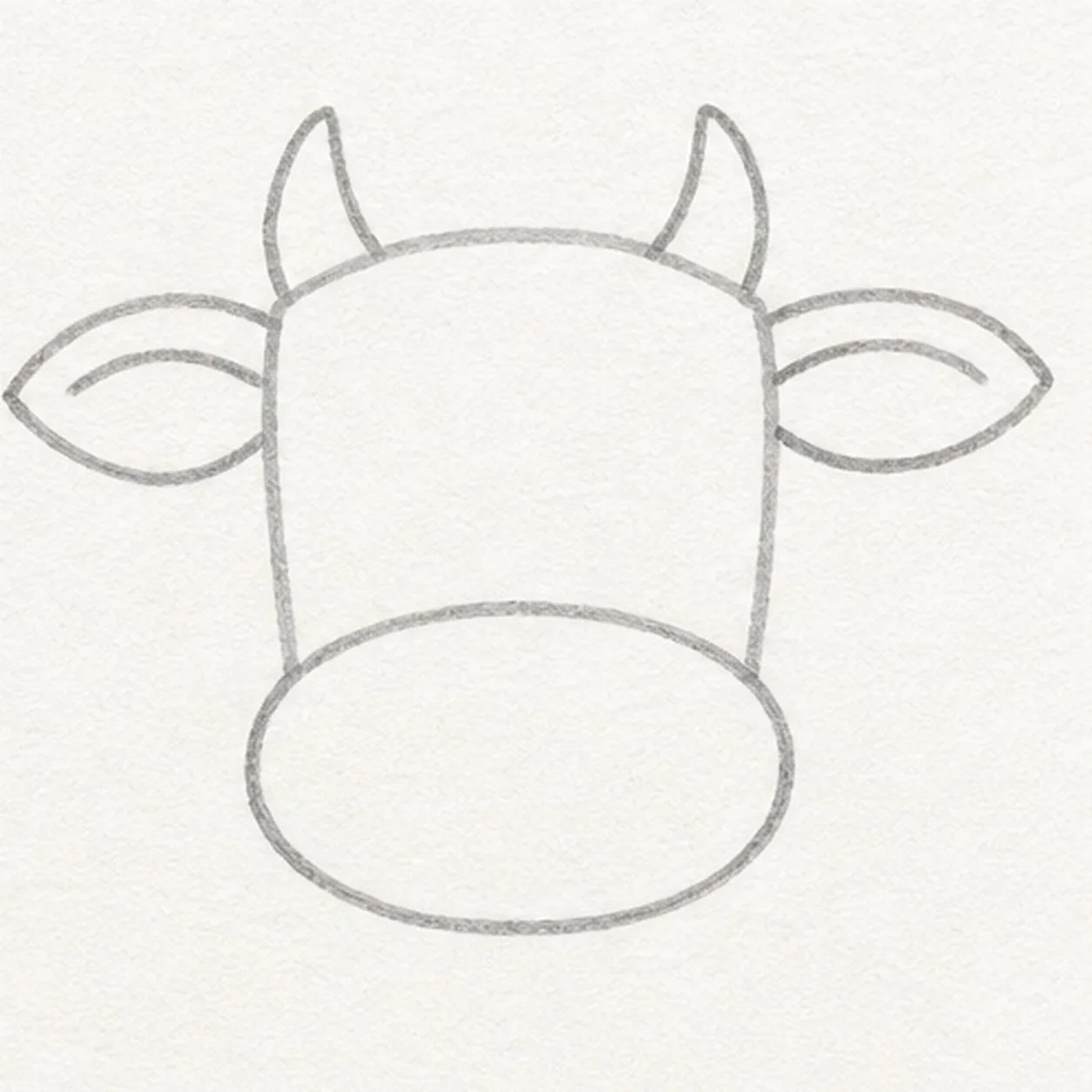Add ears, horns, and muzzle stage for how to draw a cow face