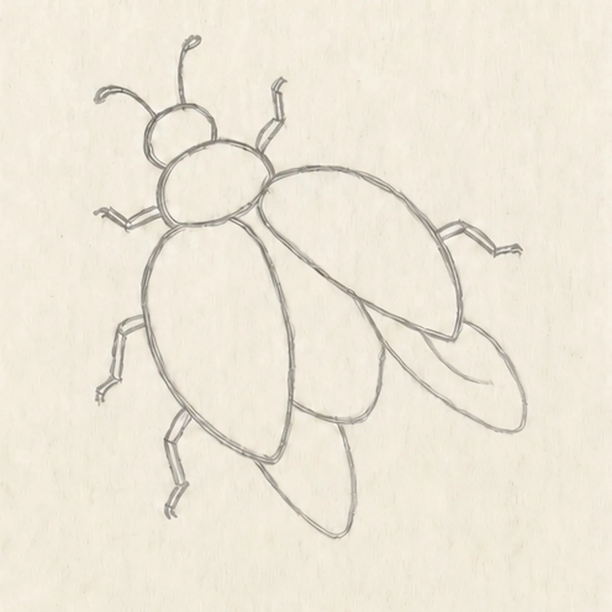 Shape the flying ladybug stage for how to draw a flying ladybug