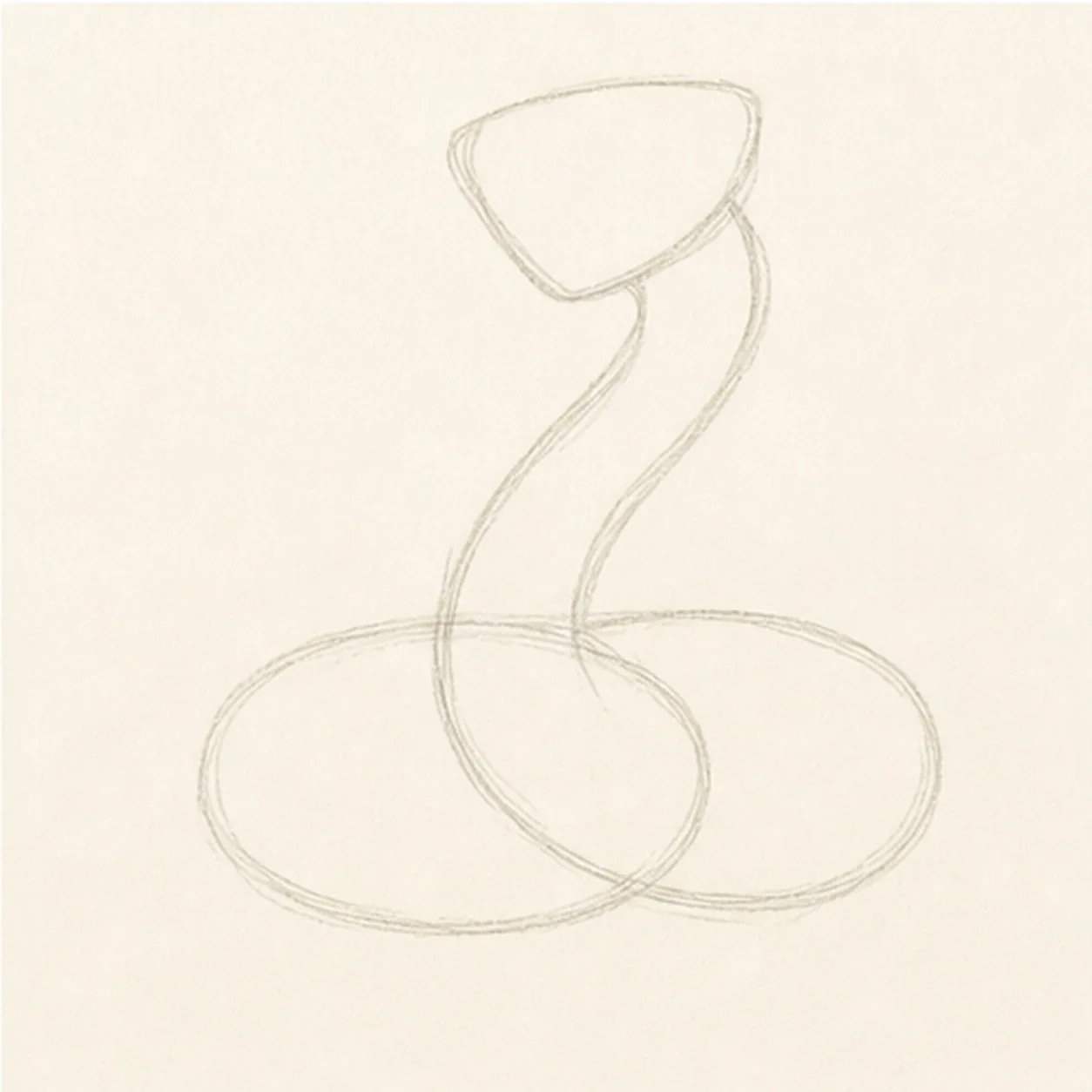 Map the coils and rise stage for how to draw a rattlesnake
